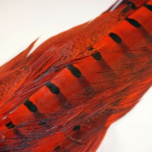 pheasant-tail-hot orange-red-chevron-vliegbinden-nymphen-venlo