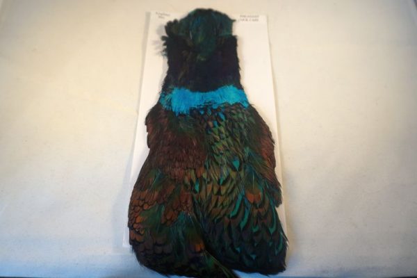 cock-pheasant-cape-kingfisher blue-natte vliegen-nymphen-vliegbinden-chevron hackles-venlo