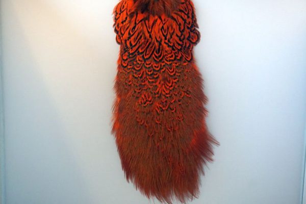 cock-pheasant-rump-patch-hot orange-fibers-hackles-chevron-vliegbinden-venlo