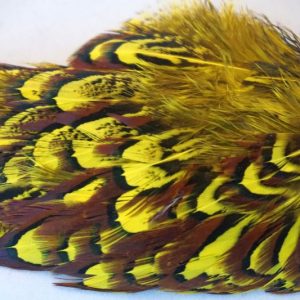 cock-pheasant-shoulder-patch-fluo-yellow-natte vliegen-chevron-vliegbinden-venlo