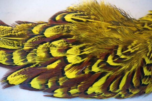 cock-pheasant-shoulder-patch-fluo-yellow-natte vliegen-chevron-vliegbinden-venlo