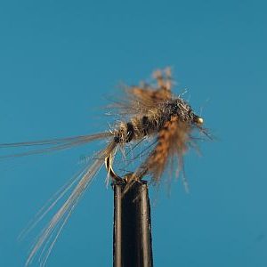 CDC Adams Biot Spinner 1000vliegen