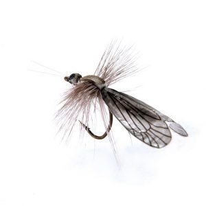 1000vliegen.nl-Caddisfly Adult Color Light Grey-realistic flies- realistische vlieg-caddis- licht grijs-forel-vliegvissen-tenkara-rivier-natuurgetrouw-vliegvisser-venlo