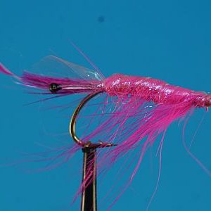 Crangon Shrimp Pink 1000vliegen.nl