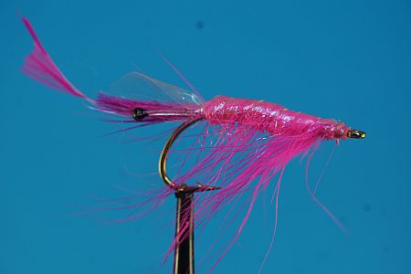Crangon Shrimp Pink 1000vliegen.nl