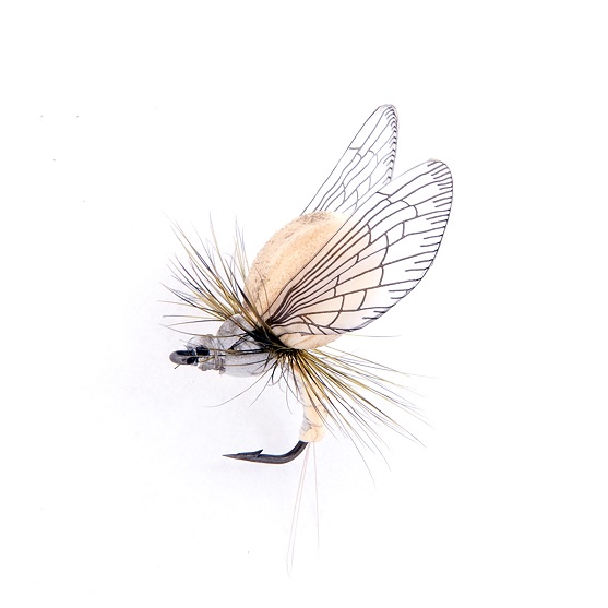 1000vliegen.nl, Mayfly Emerger Color Beige/Light Grey, realistic fly, emerger, mayfly, meivlieg, droge vlieg, tenkara, tencamo, rivier, forel, vlagzalm, vliegvissen, venlo