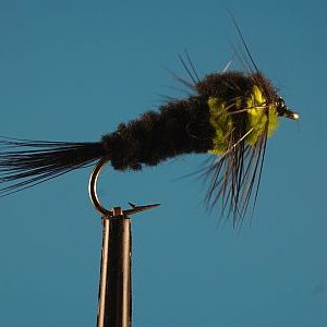 Montana Green 1000vliegen