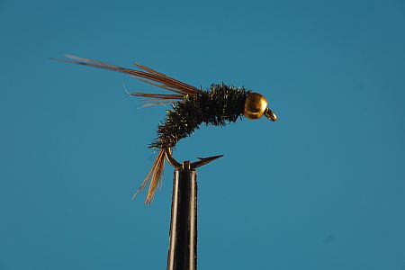 BH Swimming Peacock 1000vliegen