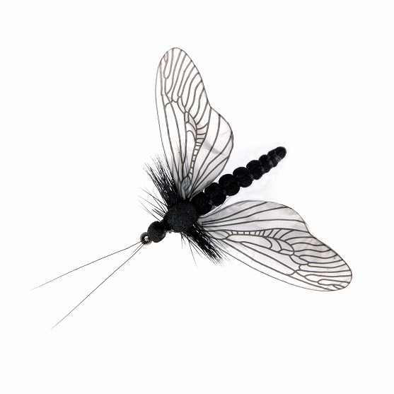 1000vliegen.nl,Caddisfly Spent Color Black, , forel, forellenvijver, , spent, natuurgetrouw, realistic fly, realistische vlieg, regenboog forel, rivier, Tencamo, tenkara, venlo, vliegvissen, vliegvisser
