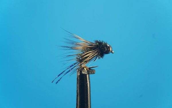 Black Nymph Tungsten 1000vliegen.nl