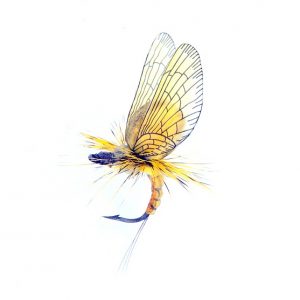 Mayfly emerger yellow/kaki 1000vliegen.nl