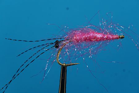 Krystal Shrimp Pink 1000vliegen.nl