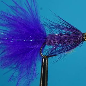 Woolly Purple BH 1000vliegen.nl